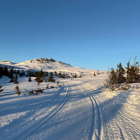 بيت للعطل Private Mountain Retreat - Norefjell - Family
