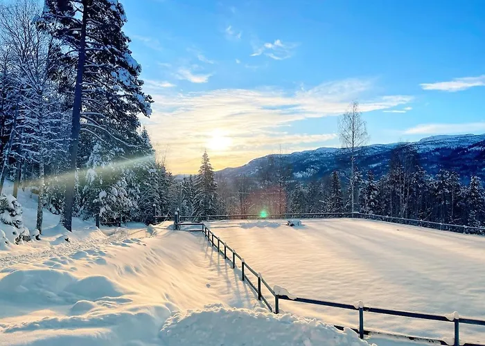 Shielded At Norefjell